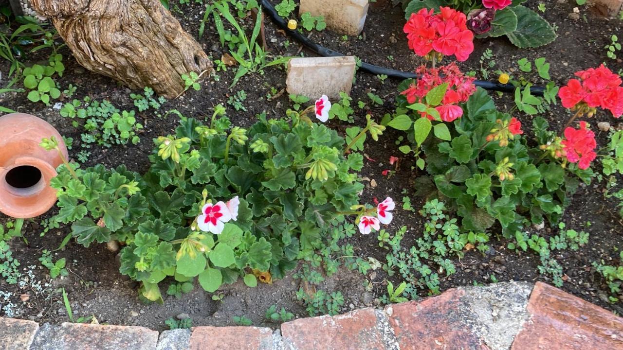 L'Antico Borgo Bed & Breakfast Milazzo Exterior foto
