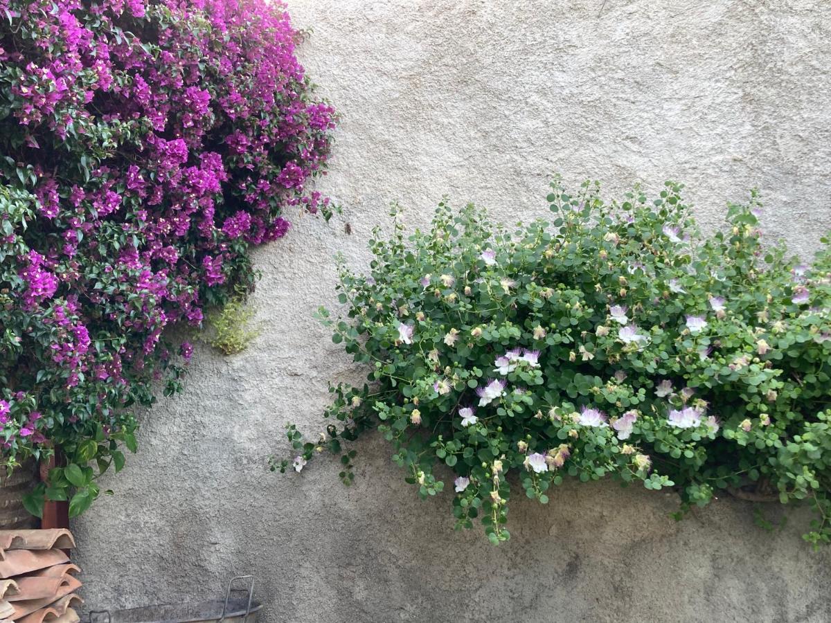 L'Antico Borgo Bed & Breakfast Milazzo Exterior foto